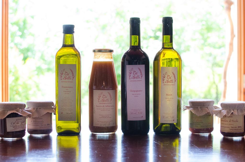 Agriturismo Ca'De'Gatti Faenza Kültér fotó