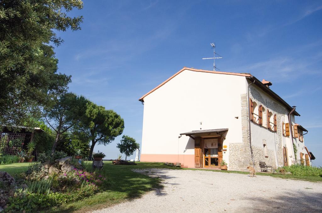 Agriturismo Ca'De'Gatti Faenza Kültér fotó