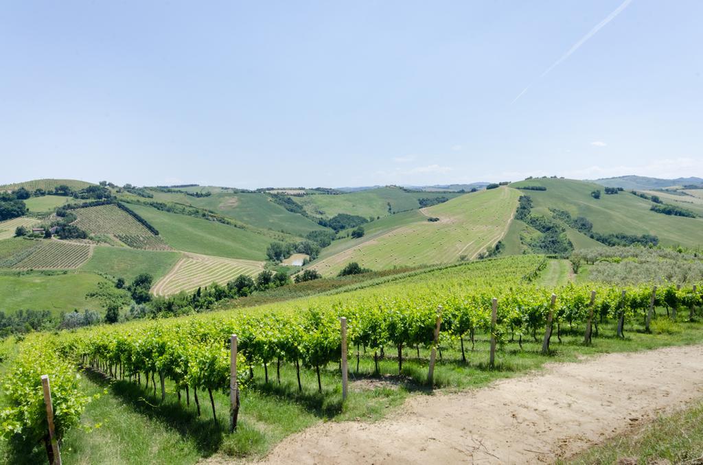 Agriturismo Ca'De'Gatti Faenza Kültér fotó