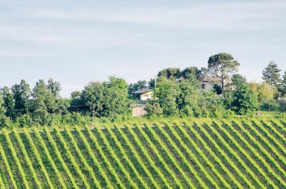 Agriturismo Ca'De'Gatti Faenza Kültér fotó